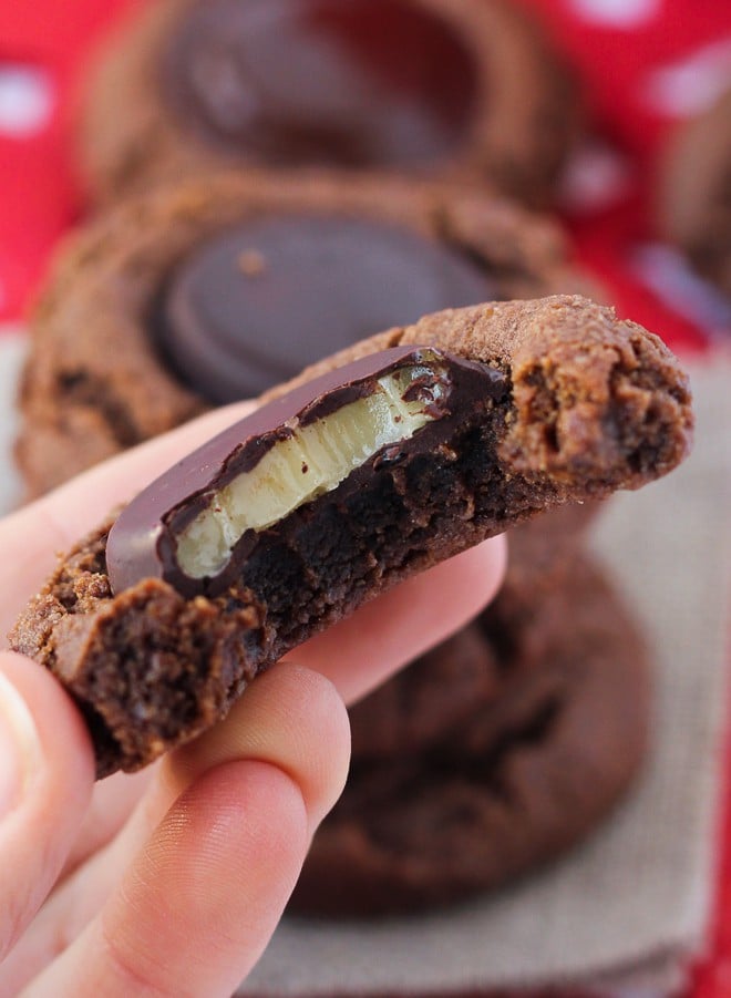 Image shows a hand holding a chocolate mint cookie with a bite taken from it